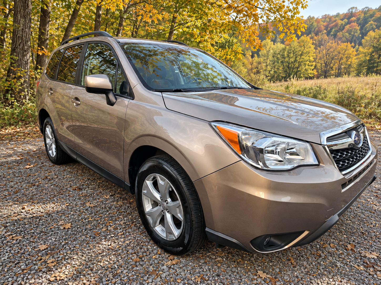 Bronze 2014 Subaru Forester with a woodland background